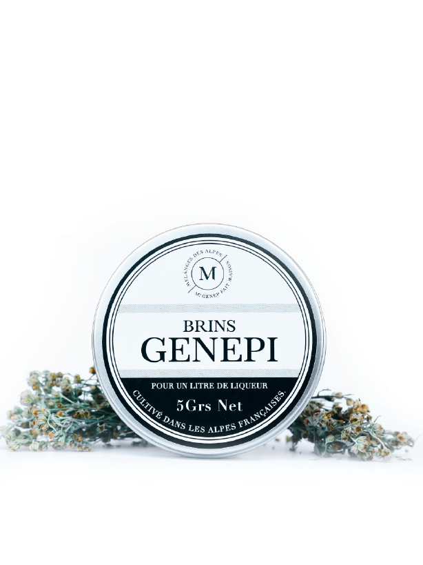 Brins de génépi cultivés dans les Alpes françaises – ingrédients pour liqueur de génépi maison