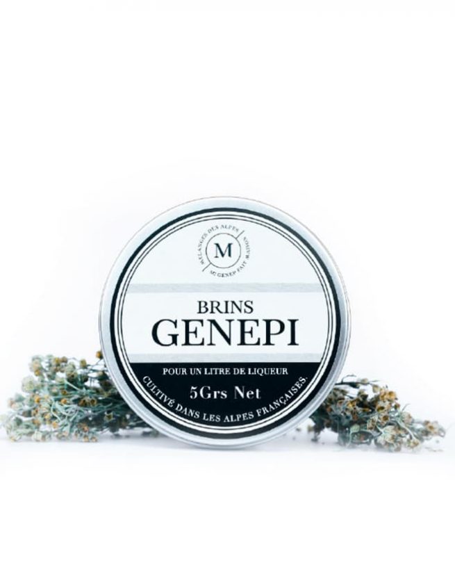 Brins de génépi cultivés dans les Alpes françaises – ingrédients pour liqueur de génépi maison