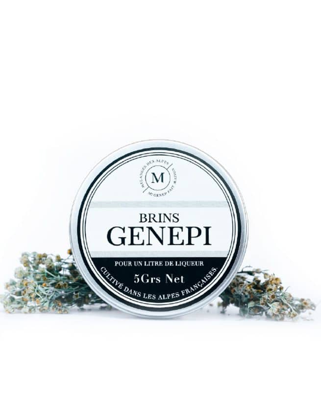 Brins de génépi cultivés dans les Alpes françaises – ingrédients pour liqueur de génépi maison